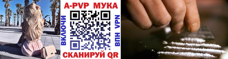 где найти   Кунгур  omg ССЫЛКА  A-PVP крисы CK 