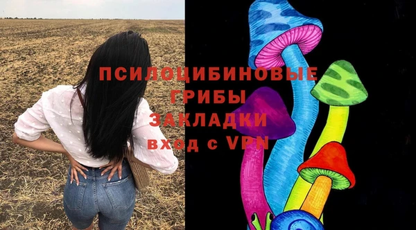 ешки Переславль-Залесский