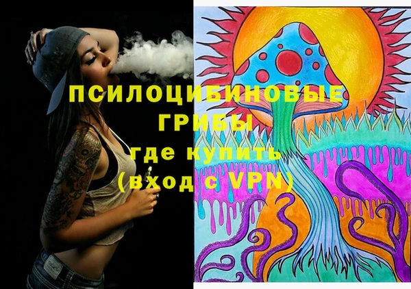 марки lsd Пересвет