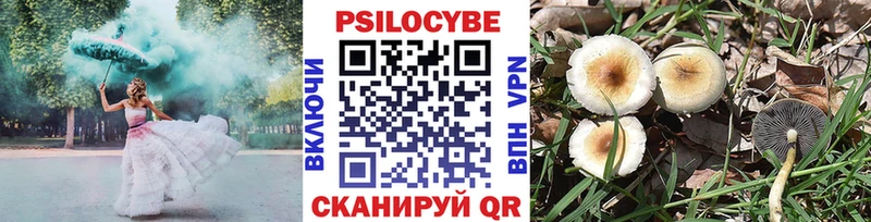 блэк спрут ONION  Кунгур  Галлюциногенные грибы GOLDEN TEACHER  наркота 