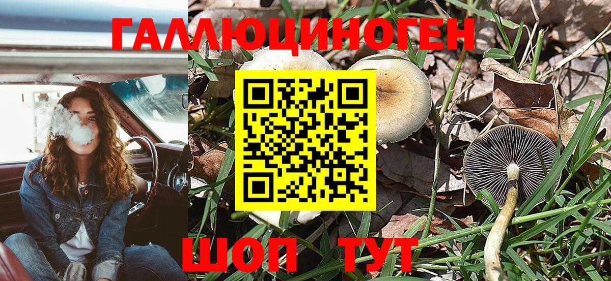 Галлюциногенные грибы мицелий  Кунгур  Галлюциногенные грибы GOLDEN TEACHER 