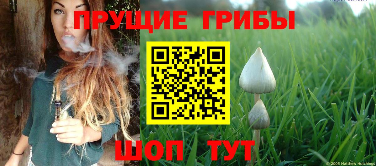Кунгур  закладка  Вход с VPN  Псилоцибиновые грибы ЛСД 