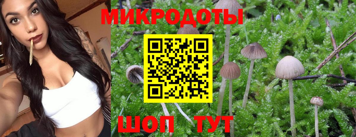 Галлюциногенные грибы Magic Shrooms Кунгур